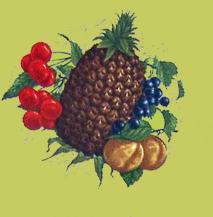 gesund-schmackhaft-apfelsine